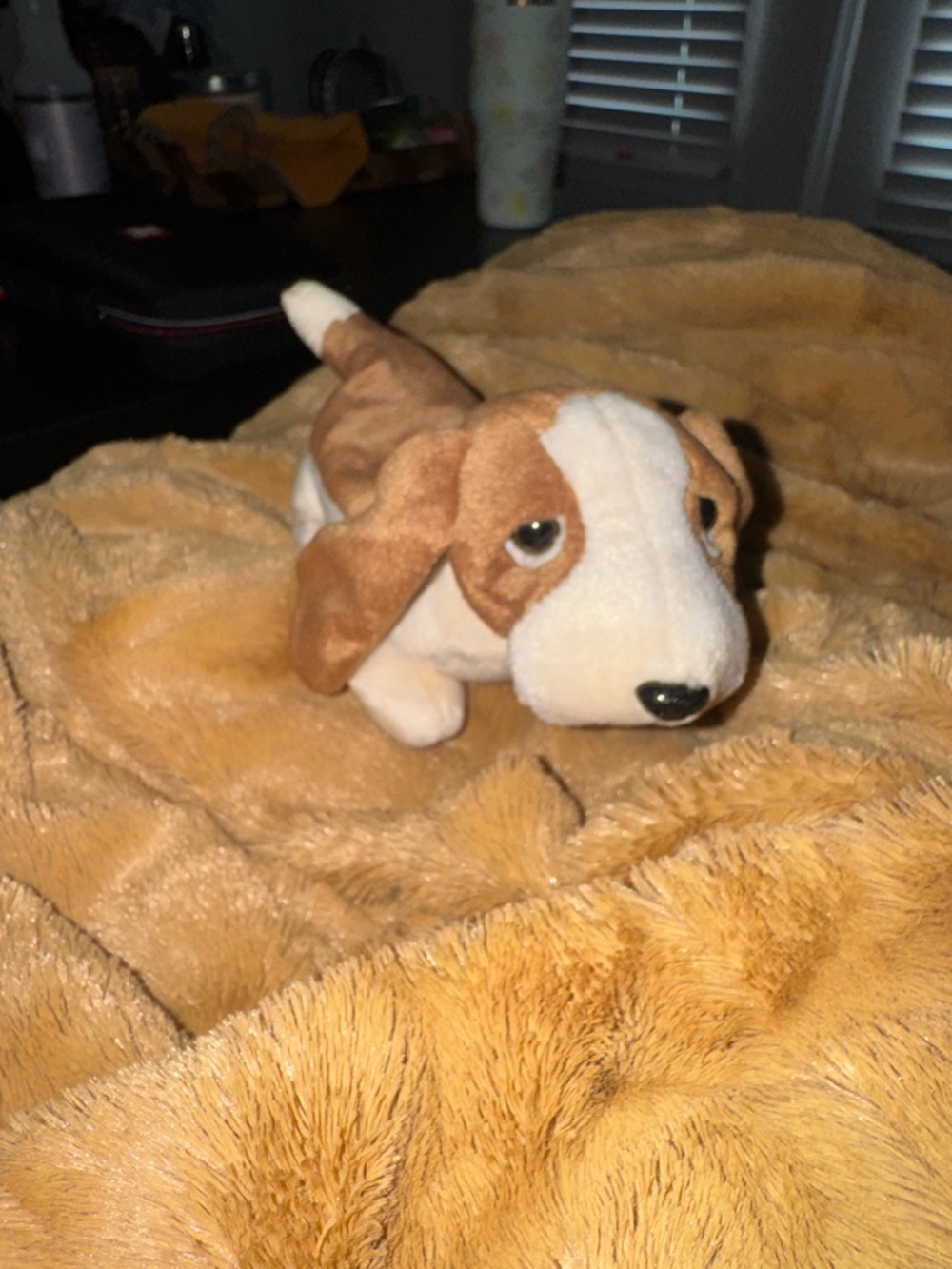 1998 “Tracker” beanie baby